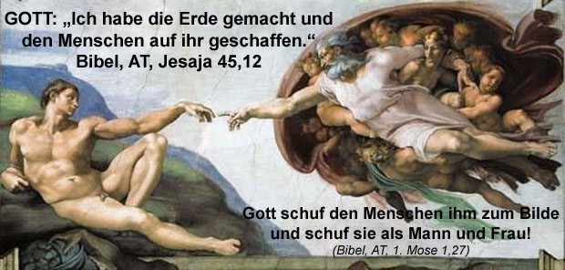 Evolution oder Schöpfung